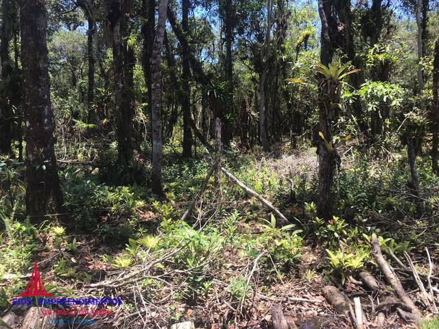#168 - Área para Venda em Pontal do Paraná - PR - 3