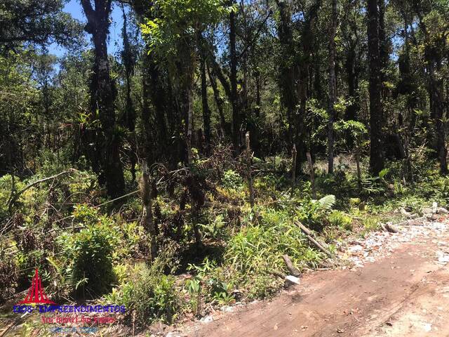 Área para Venda em Pontal do Paraná - 5