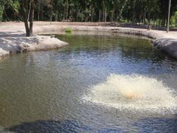 #2 - Estabelecimento para Venda em Pontal do Paraná - PR - 2